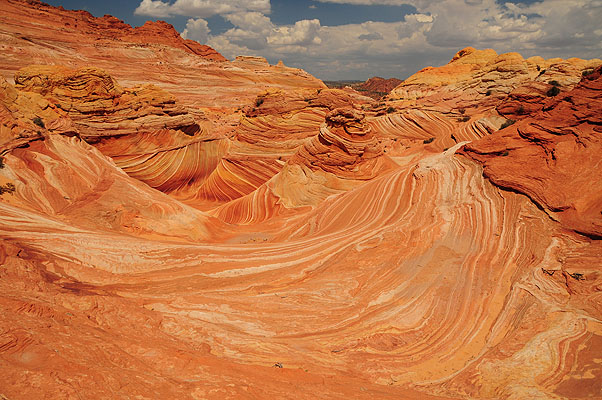 DSC_2844.jpg (4288x2848) NIKON D300 - 18-200mm f/3.5-5.6 // F9 // 1/320 sec // ISO 200 // 18,0 mm // no Flash // 2008:07:17 11:42:49 DSC_2844.jpg (4288x2848) NIKON D300 - 18-200mm f/3.5-5.6 // F9 // 1/320 sec // ISO 200 // 18,0 mm // no Flash // 2008:07:17 11:42:49